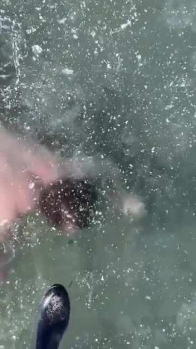 You can see him get more desperate.