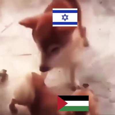 Israel is such a victim...