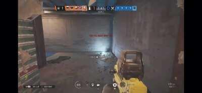 Bait reinforcement Oregon