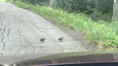 Hey lets give this person a show, You got it (sounds on)