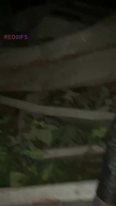 My first cruising experience was with this big dick 