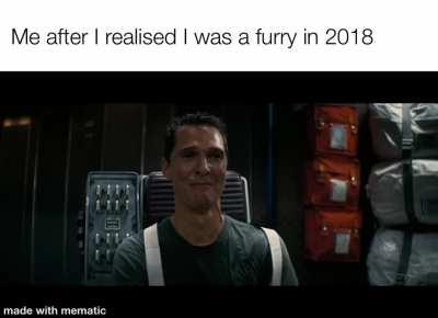 furry_irl