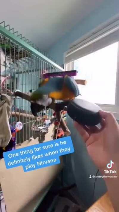 Sometimes you just gotta rock out