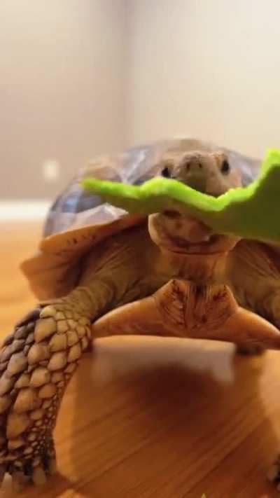 chill bro... it's all yours.