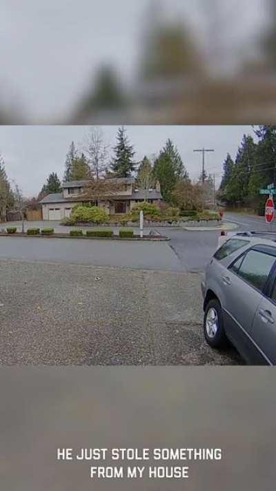 Stealing Amazon packages while the owner is home