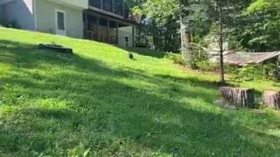 Mary Piggins comes running when she hears her name