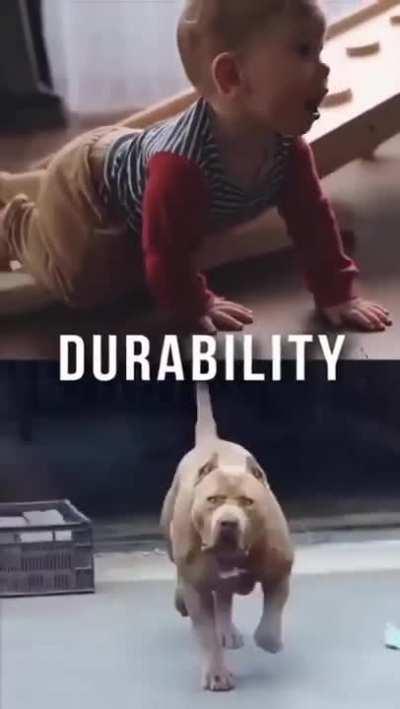 STOP PLAYING FACTORIO OR THE TODDLER GETS IT