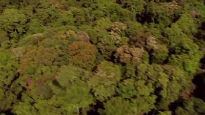 Came across this gem ...