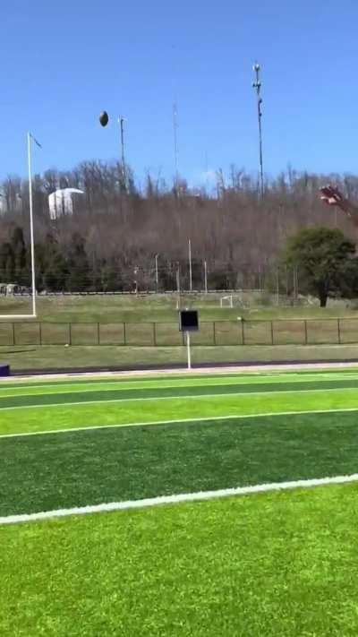 Peak male athletic form be like: