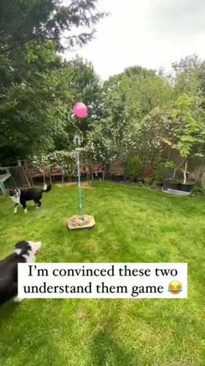 The pure joy, this is freaking awesome!!