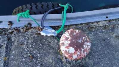 My heart sunk when I found this in Norway.