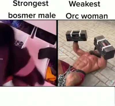 Based and Poop-Pilled