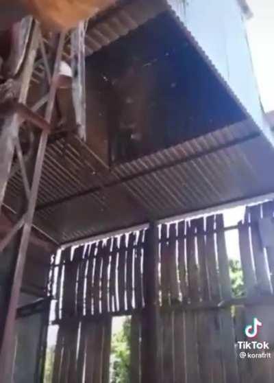 Well that’s one way of waking up the bees