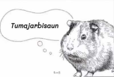 if only he could talk to us