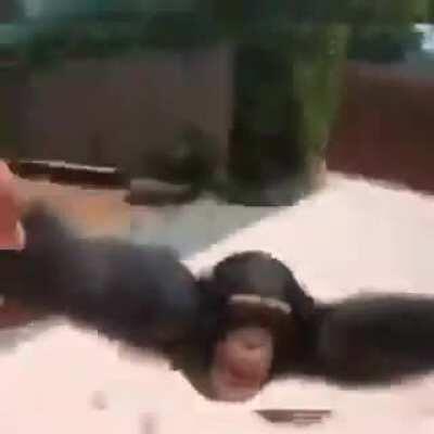 Buen día banda😎🤙🏽