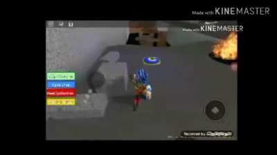 Inappropriate roblox place