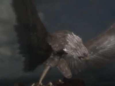 cursed_Transformations