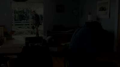 Julianne Moore in The Kids Are All Right (2010)