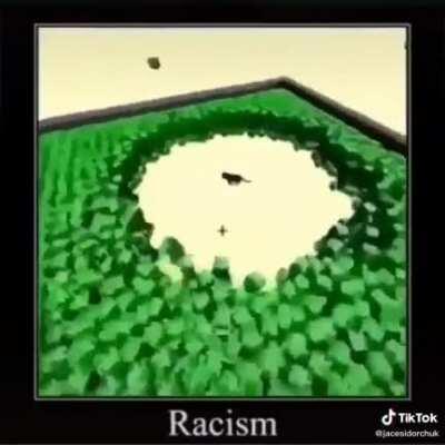 Racism