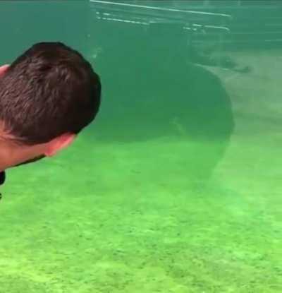 “Look but don’t make it obvious”