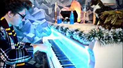 Cat steps on the piano keys at just the right time