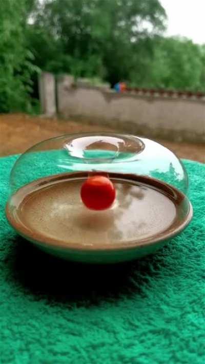 How the bubble does not burst