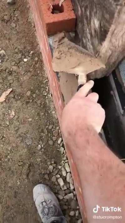 Mmmm, chocolate ice cream! It's gotta nice gritty texture to it.