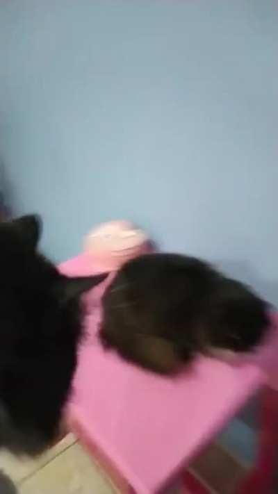 Матрица опять сломалась