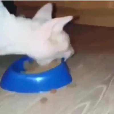 Uga 💚💛💚💛