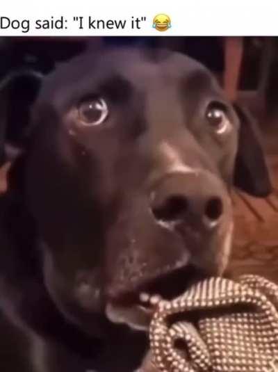 Your Efforts are Futile