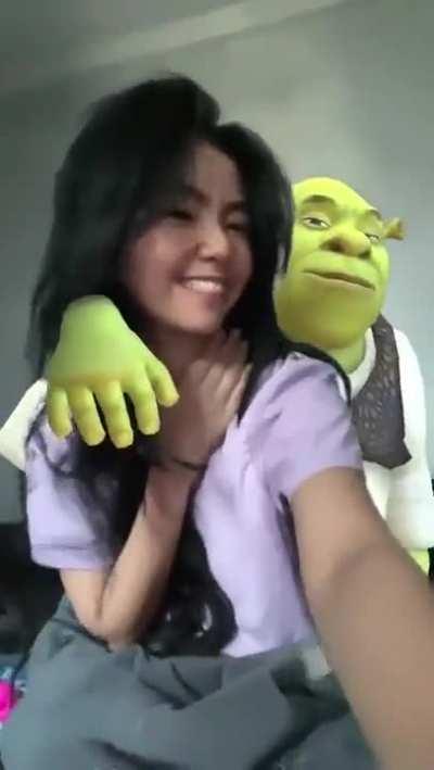 Blursed shrek