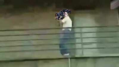 Just Yokako's mood about stand waifu