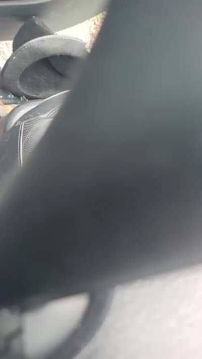 Local man live streams while being chased