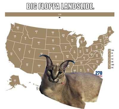 Big floppa landslide!!