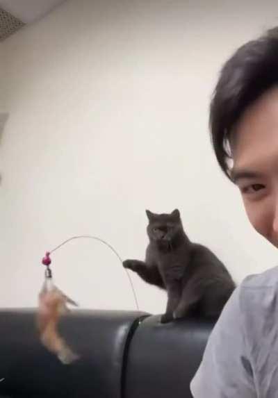 My turn to run the catculator, hooman.