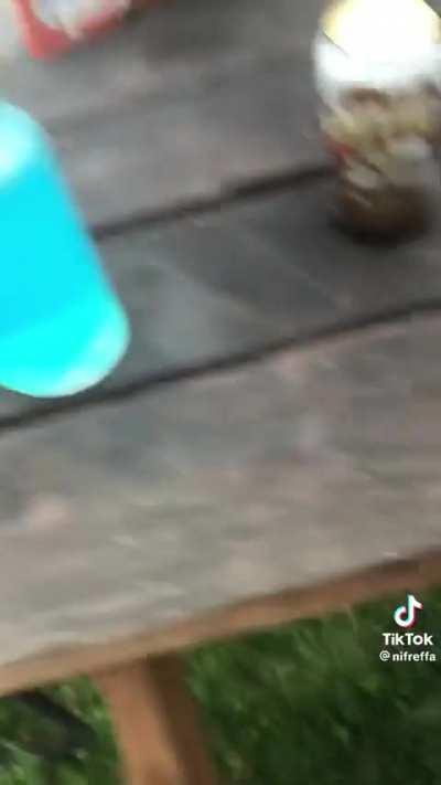 Random Things Tournament