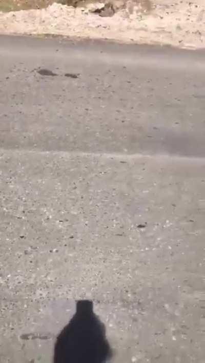 Cartel of Los Cabrera, armed branch of the CDS in Durango firing rifles with cloned Mexican Army uniform (08/13/20)