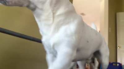 The kiss at the end of this clip 🥹🥰🥰