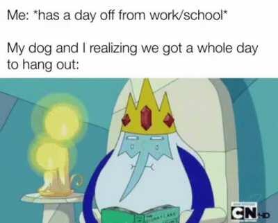 What should we do today