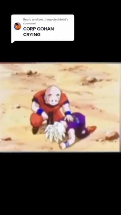 Gohan having a breakdown