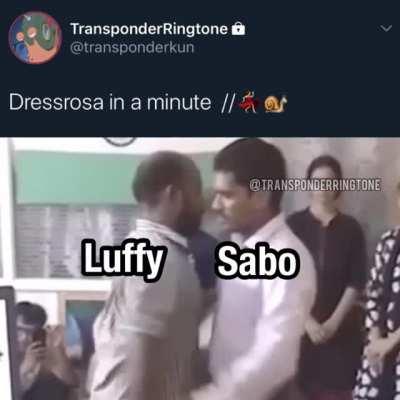 DRESSROSA // 🐌💃🏻: I make memes that summarize One Piece arcs. Follow me for more (ig @transponderringtone)