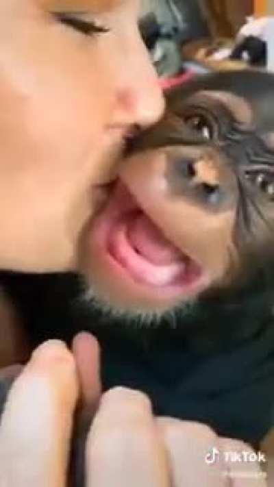 Orson y gonsabela 🐵👸🏼