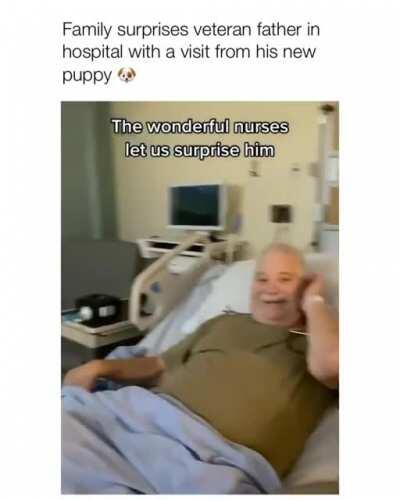Puppy surprise for veteran father