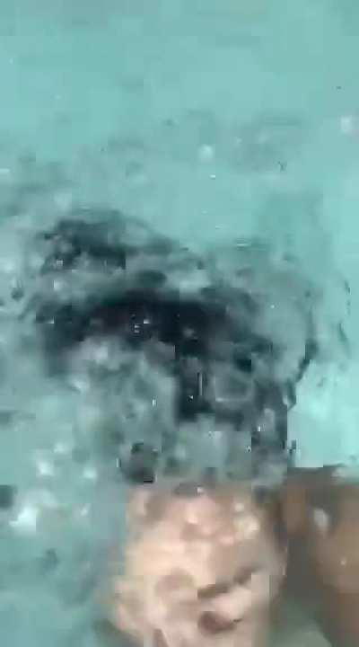 Quick Dip Big Reveal