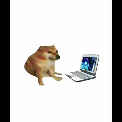 Todo está conectado