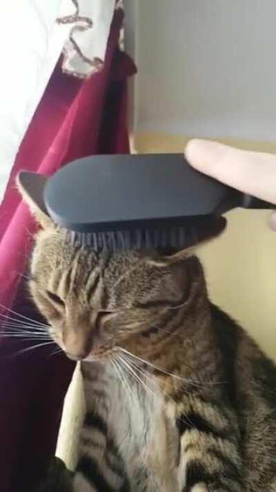 Brushy brushy