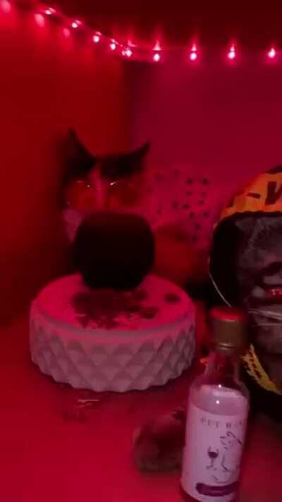 Mami respeta el flow