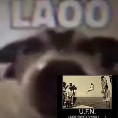 D o n ' t f o r g e t t h e i c e