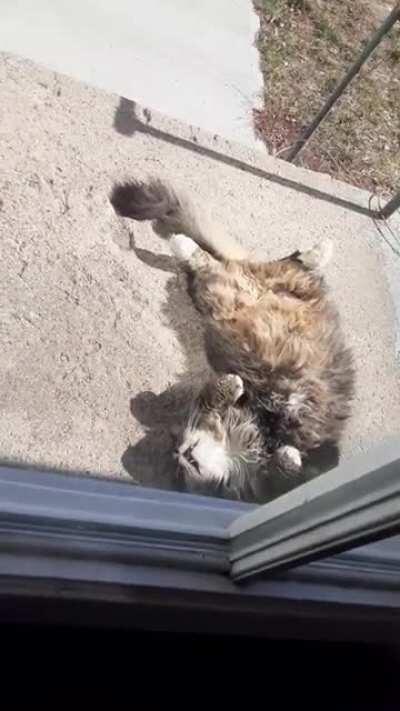 And the Oscar goes to...