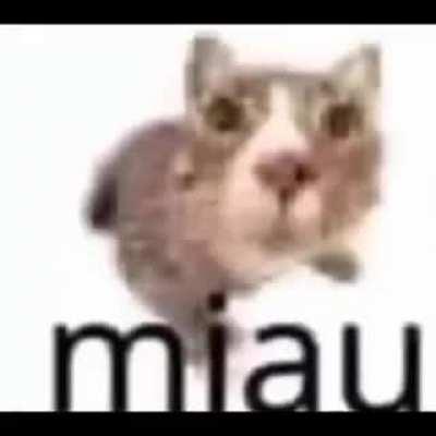 miaaaaau earrape